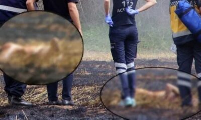 Ot yangınına giden itfaiye ekibi, tarlada emekli savcının cesedini buldu!.