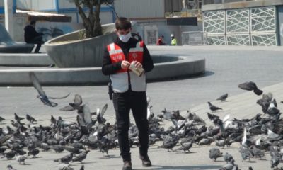 Taksim Meydanı, İşçi Bayramı’nda boş kalınca polisler kuşları besledi!.