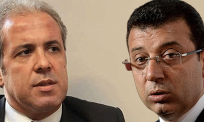 Şamil Tayyar’dan Ekrem İmamoğlu yorumu! “Kendi haline bırakılırsa kendini imha eder!.”