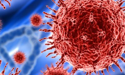 Singapurlu bilim insanlarının ürettiği yapay zeka Türkiye’de salgının kesin olarak ne zaman biteceğini söyledi!.