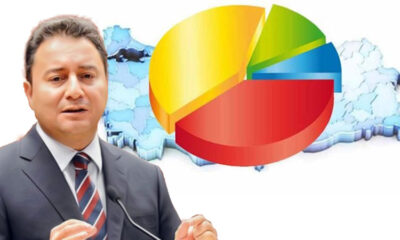 Ali Babacan’a anket şoku! Son araştırma sonucu beklediği gibi gelmedi!.