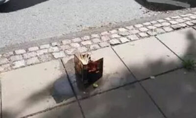 Danimarka’da İslam’a alçak saldırı! Siyasi parti üyeleri Kur’an yaktı!.