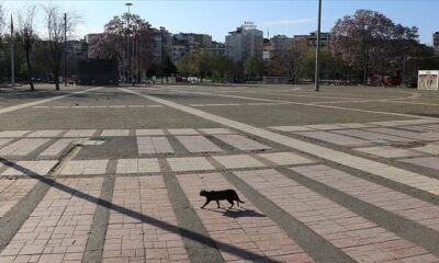 İçişleri Bakanlığı’ndan sokağa çıkma yasağı açıklaması! Saatler belli oldu!.
