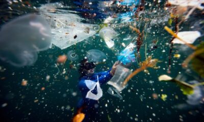 İstanbul Boğazı’nda mide bulandıran görüntüler..