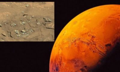 “Mars’ta kemik” paylaşımı ortalığı karıştırdı!.