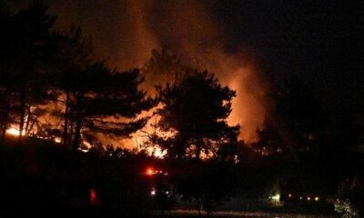 Çanakkale Gelibolu’da orman yangını! Son durum… (video haber)
