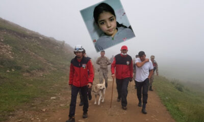 Yaylada kaybolan 11 yaşında ki Elif her yerde aranıyor!.