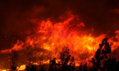 İzmir’de makilik alanda yerleşim yerlerine yakın yangın…