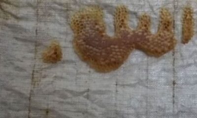 Arıların balla yazdığı ALLAH yazısı, görenleri hayrete düşürdü!.