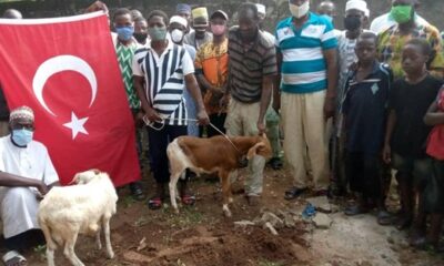 Batı Afrika’da Ayasofya için kurban kestiler!.