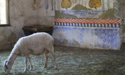 Aydın’da skandal! Cami ahır olarak kullanılıyor!.