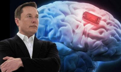 Elon Musk’ın yeni çılgın projesi! İnsan beynine çip takacak!.