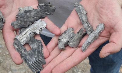 Ermenistan’dan bir alçaklık daha..