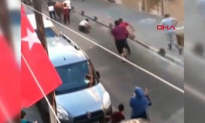 İstanbul Küçükçekmece’de kaçak boğa operasyonu.. (video haber)
