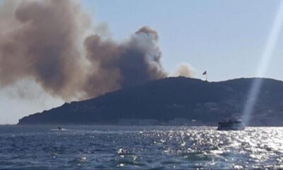 İstanbul Valisi Yerlikaya, Heybeliada’da ki yangının kontrol altına alındığını duyurdu! 3 kişi gözaltında..
