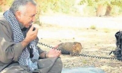 Teröristbaşı Karayılan’dan çöküş itirafı! “Hepimiz imha olacağız!.”