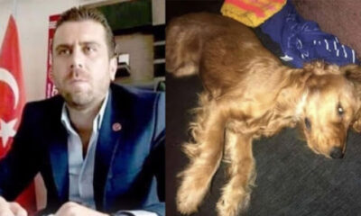 Kendisine emanet edilen köpeğe tecavüz ederek öldüren Volkan Uzun tutuklandı!.