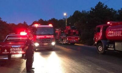 İstanbul’da orman yangını…