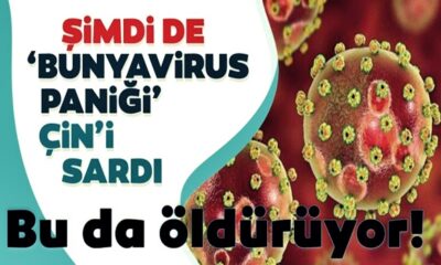 Çin’de yeni salgının ismi bunyavirüs! Kene ısırığıyla bulaşan virüsten 7 kişi öldü!.