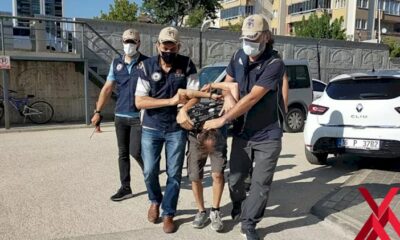 Bursa’daki orman yangınını çıkaran şerefsizin ifadesi ortaya çıktı!.