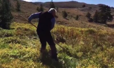 Binali Yıldırım Erzincan Dumanlı Yaylası’nda ki görüntülerini paylaştı!.