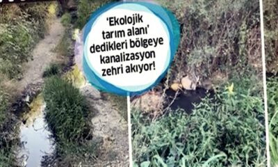 21. yüzyılda CHP’nin belediyecilik vizyonu! Ekolojik tarım alanı dedikleri bölgeye kanalizasyondan zehir akıyor!. (video haber)