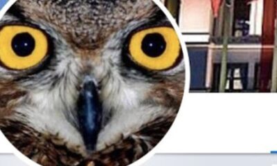 Emniyetten FETÖ’cü Ankara Kuşu açıklaması..