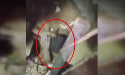 Felaketi yaşayan Lübnan’da 27 saat sonra yaşanan mucize… (video haber)