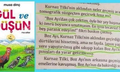 MEB’den tecavüz skandalının yer aldığı masal kitabı hakkında jet açıklama!.