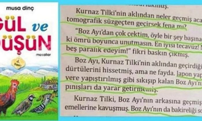 MEB’den tecavüz skandalının yer aldığı masal kitabı hakkında jet açıklama!.