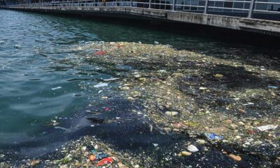 Rezalet! Haliç yine çöplüğe döndü!.