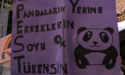 Sibel Eraslan İstanbul Sözleşmesi’nin amacını açıkladı! “Kökünden kazımak istiyorlar!.”