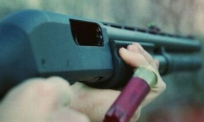 Kastamonu’da dehşete düşüren yanılgı! Eşini domuz zannedip öldürdü!.