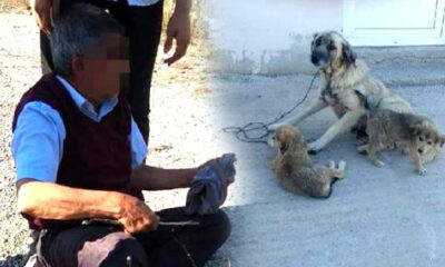 Allah belanızı versin! Ağaca bağladığı köpeğe tecavüz ederken yakalandı!.