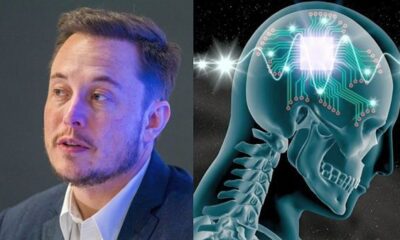 Elon Musk, beyin-bilgisayar bağlantılı çipi tanıttı!.