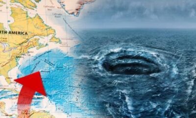 50 gemi ve 20 uçak bir anda ortadan kaybolmuştu! Sonunda sırrını çözdüler!.