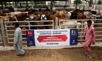 Türkiye Diyanet Vakfı, Pakistan’da 60 bin aileye kurban eti dağıtacak!.