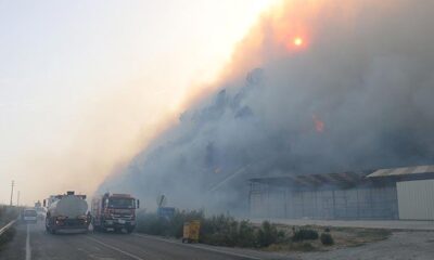 50 ev tahliye edildi! Aydın’da korkutan yangın..