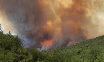 Hatay’da ki yangın ormanlık alana ilerliyor!.