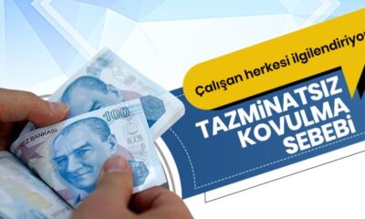 “Hayvan” diyen kadın işçi, tazminat ödenmeden kapı dışı edildi!.