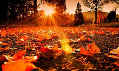 En güzel Eylül ayı sözleri…