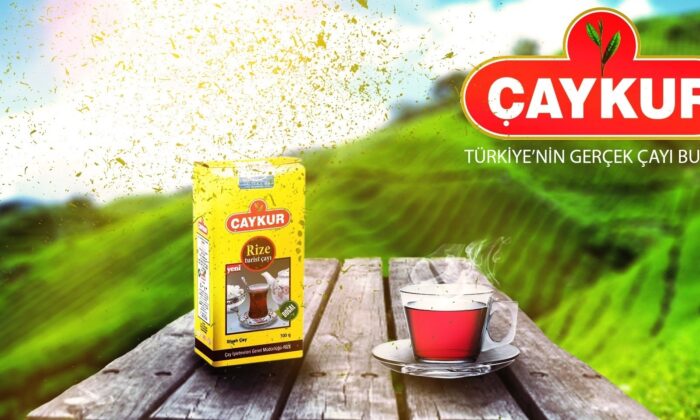 ÇAYKUR’da trilyonluk vurgun!. Varlık Fonu’na geçtikten sonra devletin milyonları kimlere akıtılıyor!.