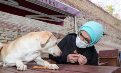 Engelli köpek Leblebi’yi Emine Erdoğan sahiplendi!.