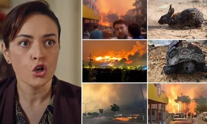 Hatay yangınıyla ilgili paylaşım yapan Ezgi Mola’ya sosyal medyada tepki yağıyor!.