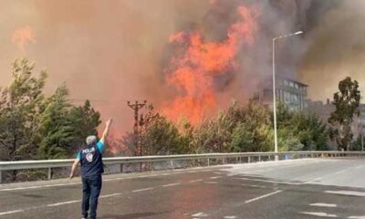 Hatay’da ki yangınla ilgili gözaltına alınan 2 kişi tutuklandı!.