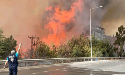 Hatay’daki yangınların talimatını terörist Karayılan vermiş!.