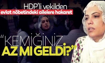 HDP’li vekil Remziye Tosun’dan evlat nöbetindeki ailelere ağır hakaret! “… satılmış köpekler!!”