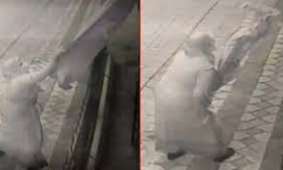 Vatanını sevmeyene Hilalin gölgesi haram olsun! Şehit evine asılan Türk Bayrağı’na saldırı..