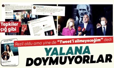 Proje hırsızlığına devam! CHP’li İBB Meclis Üyesi Gülsüm Polat “Galata Kulesi’ni İBB restore ettirdi” deyince alay konusu oldu!.