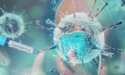 İngiltere araştırdı! “Coronavirüsün çaresi soğuk algınlığına yakalanmak!.”